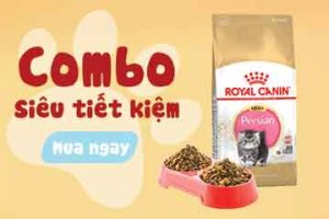 Combo Siêu Tiết Kiệm
