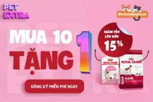 Giảm 5% Khi Mua Online