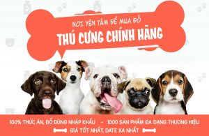 Khuyến mãi thú cưng