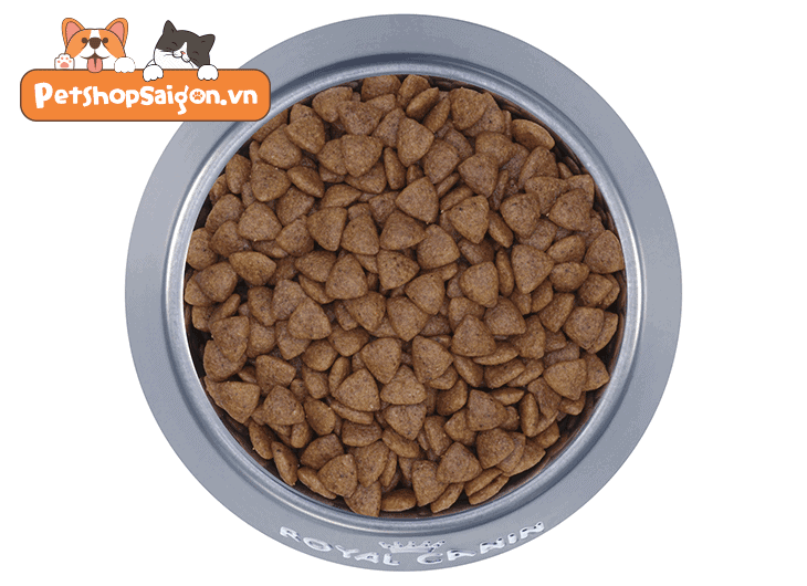 Royal Canin MINI thức ăn cho chó con