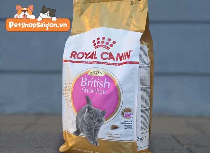 thức ăn cho mèo Royal Canin British Shorthair Kitten