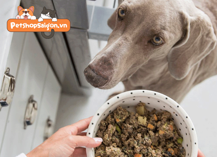 Hướng dẫn cách làm thức ăn khô cho chó cưng