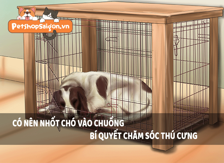 Có nên nhốt chó vào chuồng: Bí quyết chăm sóc thú cưng