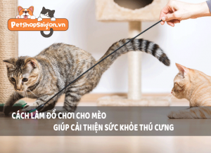 Cách làm đồ chơi cho mèo giúp cải thiện sức khỏe thú cưng