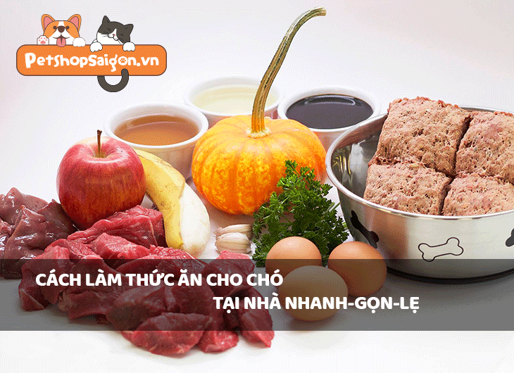 Cách làm thức ăn cho chó tại nhà nhanh-gọn-lẹ