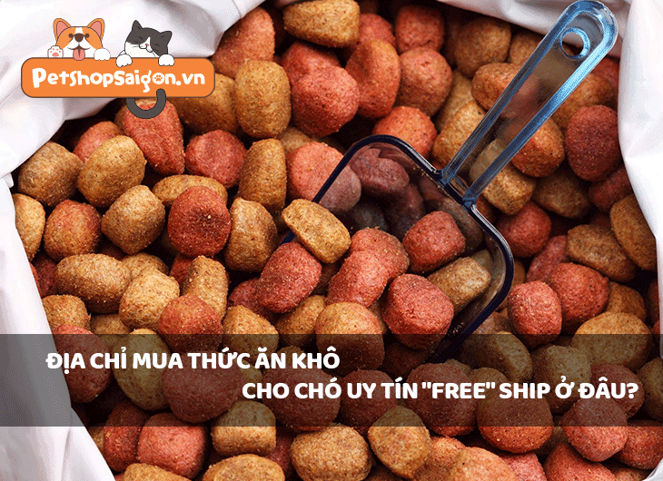 Địa chỉ mua thức ăn khô cho chó uy tín FREE ship ở đâu?