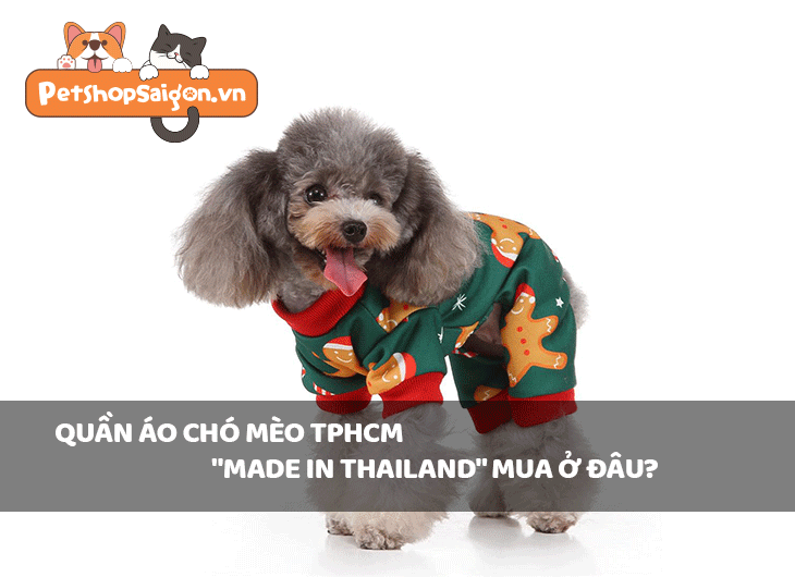 Quần áo chó mèo TPHCM “made in Thailand” mua ở đâu?