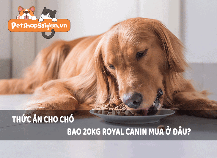 Thức ăn cho chó bao 20kg Royal Canin mua ở đâu?