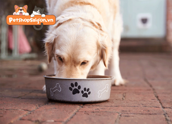 thức ăn cho chó bao 20kg