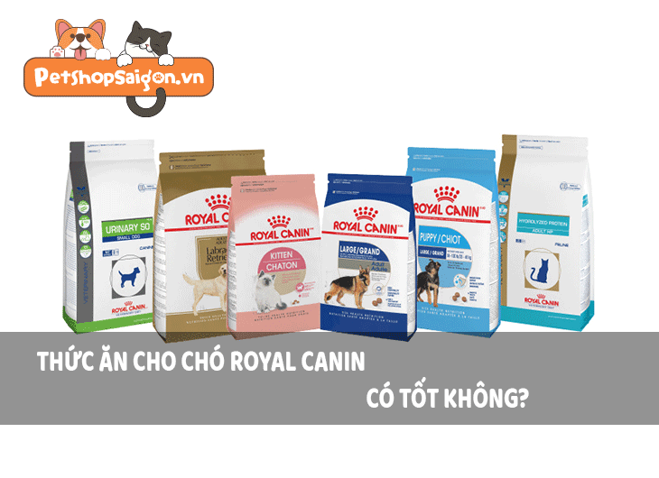 Review thức ăn cho chó Royal Canin có tốt không?