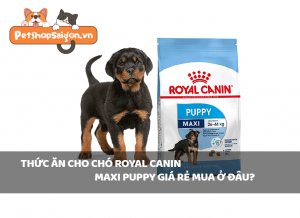 Thức ăn cho chó Royal Canin Maxi Puppy giá rẻ mua ở đâu?