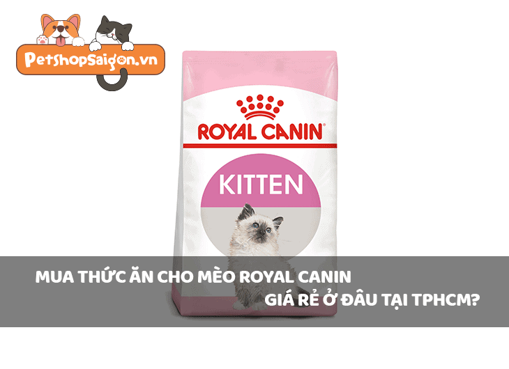 Mua thức ăn cho mèo Royal Canin giá rẻ ở đâu tại TPHCM?