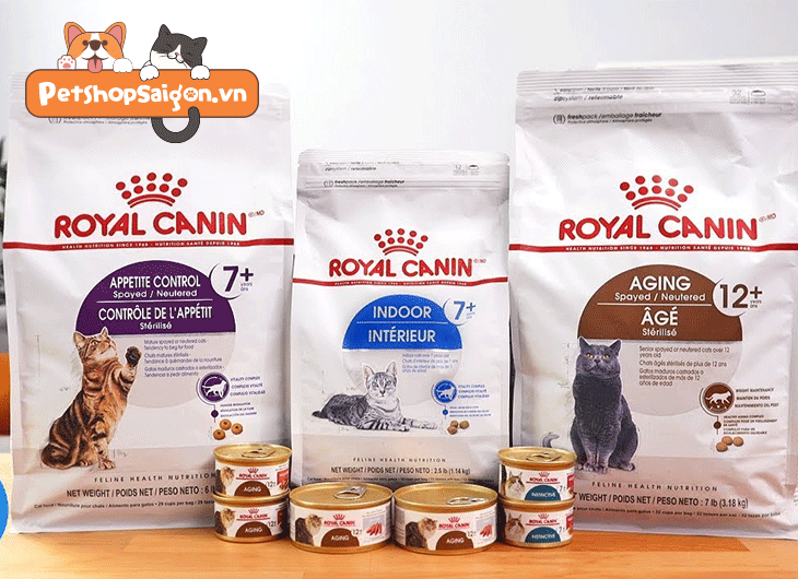 thức ăn cho mèo royal canin tphcm