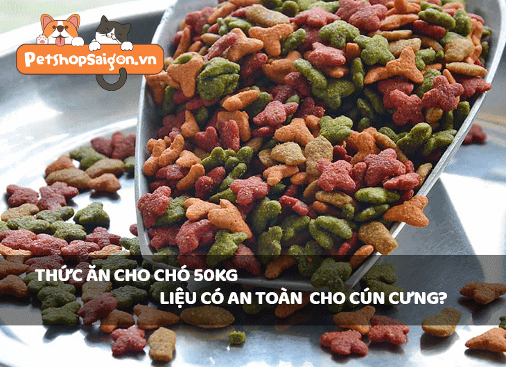 Thức ăn cho chó bao 50kg liệu có an toàn cho cún cưng?