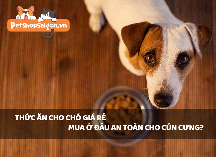 Thức ăn cho chó GIÁ RẺ mua ở đâu AN TOÀN cho cún?