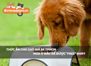 Thức ăn cho chó giá rẻ TPHCM mua ở đâu để được “FREE” ship?