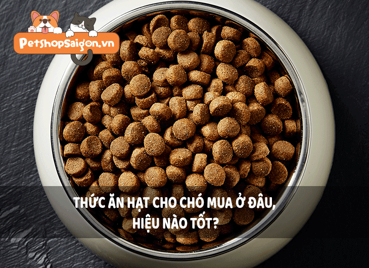 Thức ăn hạt cho chó mua ở đâu, hiệu nào tốt?