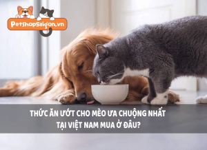 Thức ăn ướt cho mèo ưa chuộng nhất tại Việt Nam mua ở đâu?