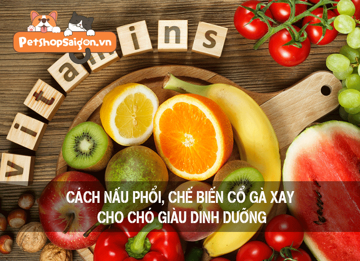 Cách nấu phổi, chế biến cổ gà xay cho chó giàu dinh dưỡng