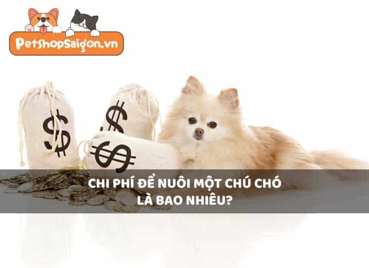 Chi phí để nuôi một chú chó là bao nhiêu?