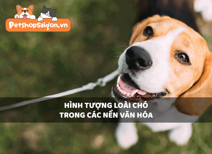 Hình tượng loài chó trong các nền văn hóa