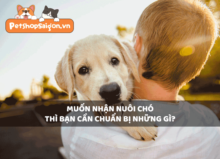 Muốn nhận nuôi chó thì bạn cần chuẩn bị những gì?