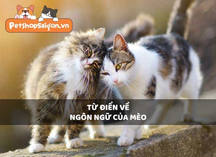 Từ điển về ngôn ngữ của mèo