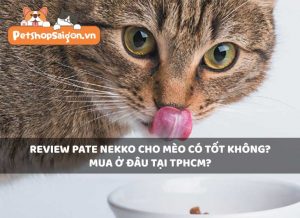 Review pate Nekko cho mèo có tốt không? Mua ở đâu TPHCM?