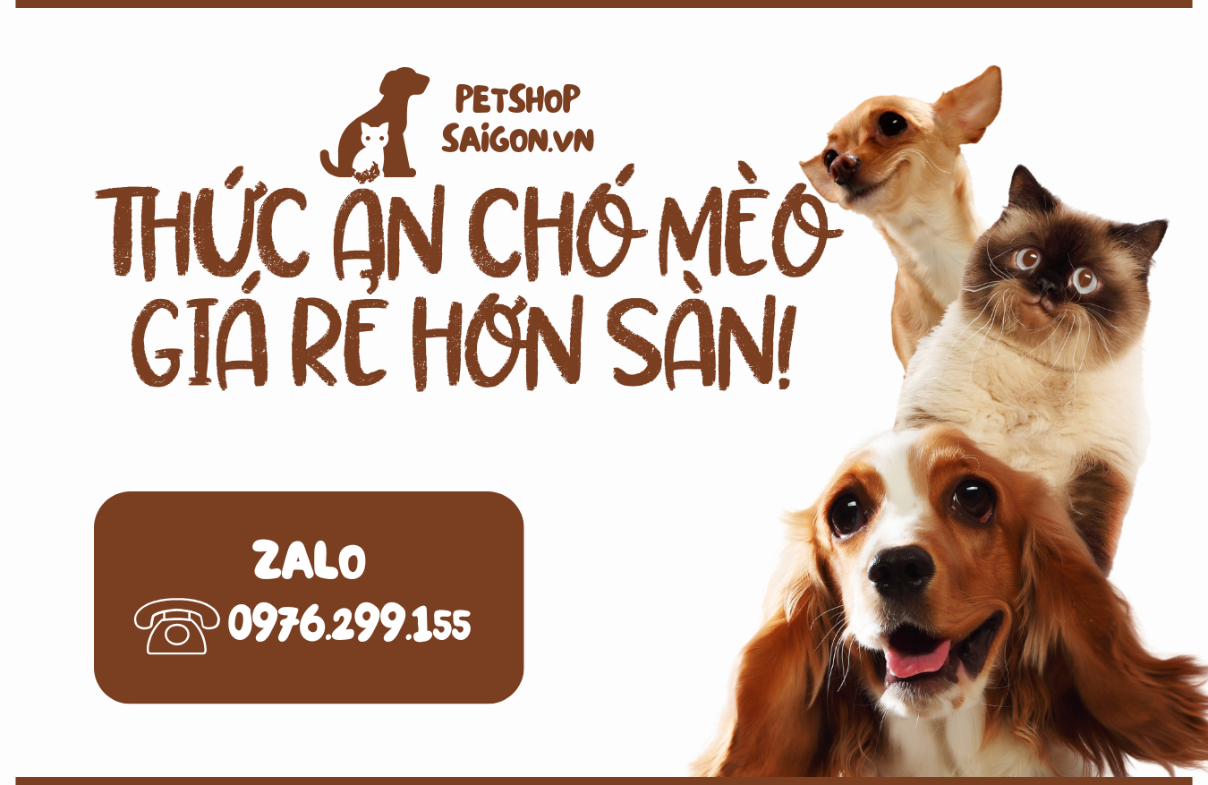 Banner Pet Shop Sài Gòn 1