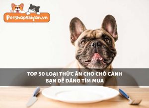 Top 50 loại thức ăn cho chó cảnh bạn dễ dàng tìm mua