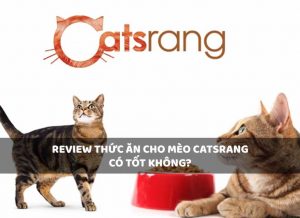 Review thức ăn cho mèo Catsrang có tốt không? | PetshopSaigon.vn