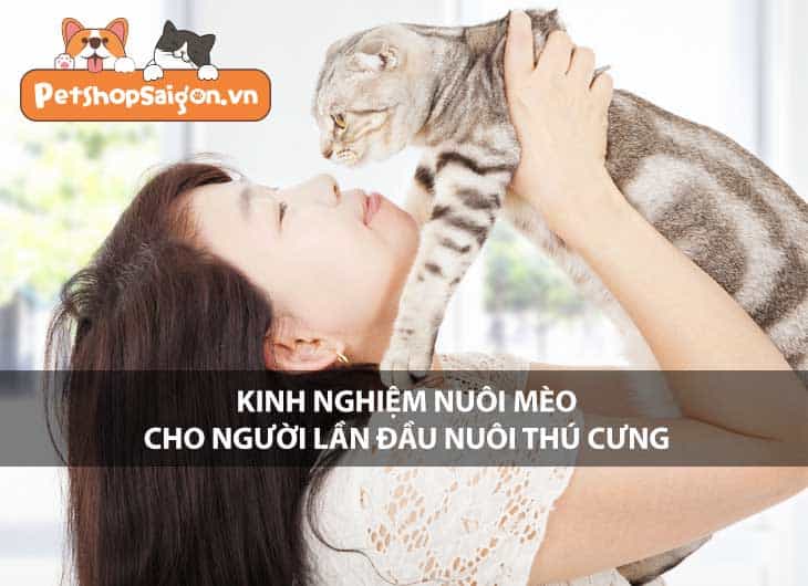 Kinh nghiệm nuôi mèo cho người lần đầu nuôi thú cưng