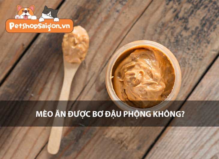 Mèo ăn được bơ đậu phộng không?