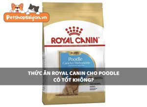 Thức ăn Royal Canin cho Poodle có tốt không?