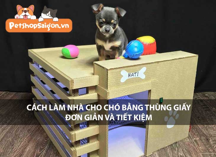 Cách làm nhà cho chó bằng thùng giấy đơn giản và tiết kiệm