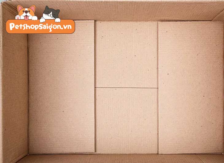 cách làm nhà cho chó bằng thùng giấy