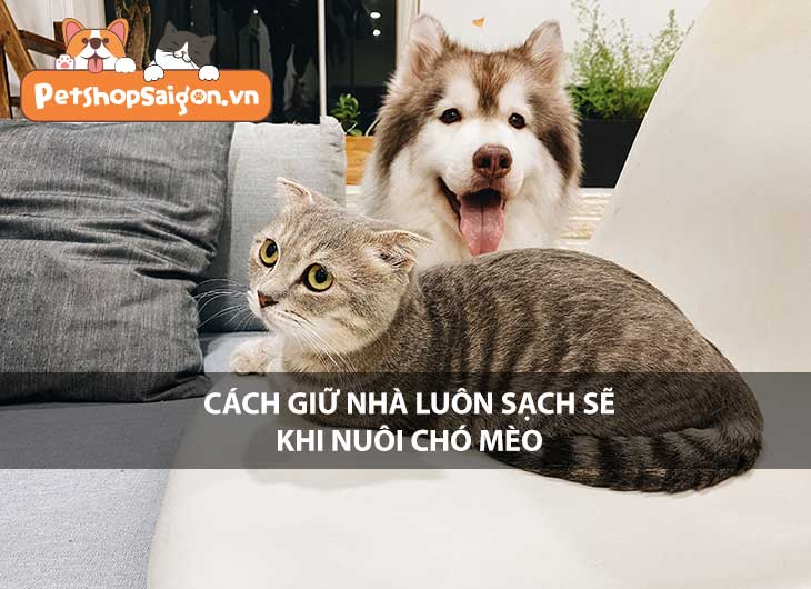 Cách giữ nhà luôn sạch sẽ khi nuôi chó mèo