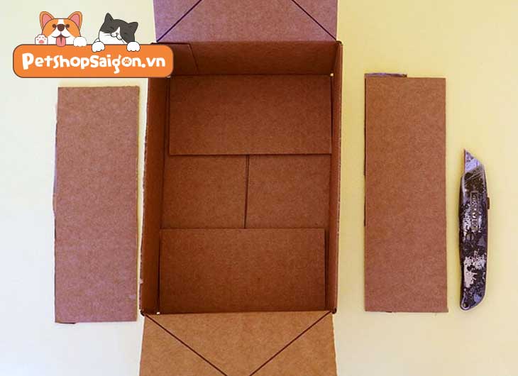 làm nhà cho mèo bằng thùng giấy
