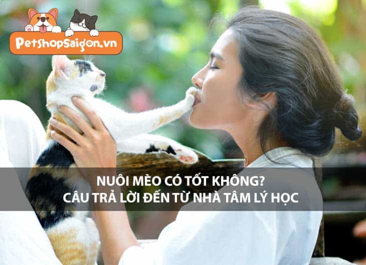 Nuôi mèo có tốt không? Câu trả lời đến từ nhà tâm lý học