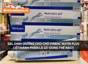 Gel dinh dưỡng cho chó Virbac Nutri Plus có tốt không?
