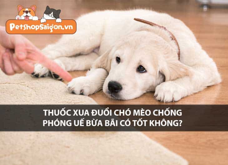 Thuốc xua đuổi chó mèo chống phóng uế bừa bãi có tốt không?