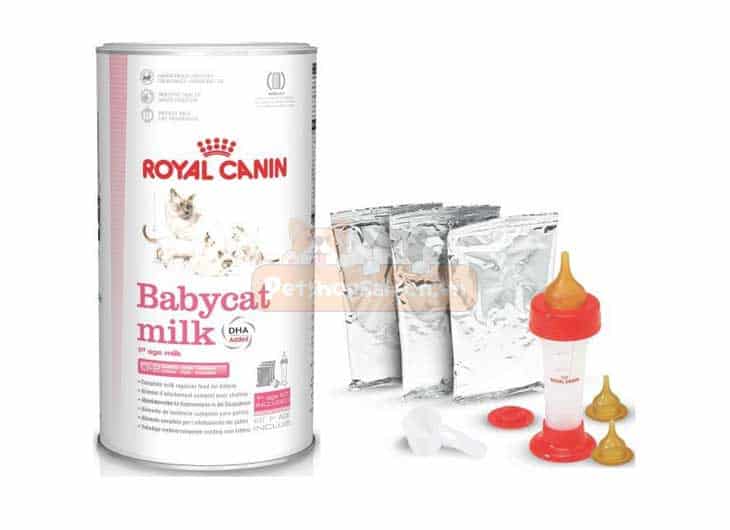 Mèo có uống sữa đậu nành được không