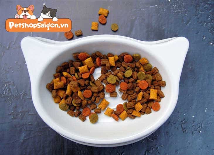 Cách làm mềm hạt thức ăn cho mèo