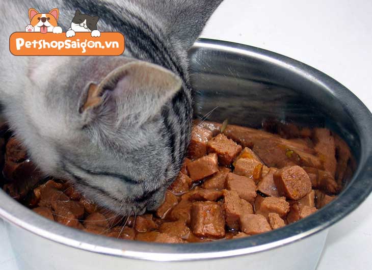 3 cách tự chế biến thức ăn khô cho mèo yêu tại nhà