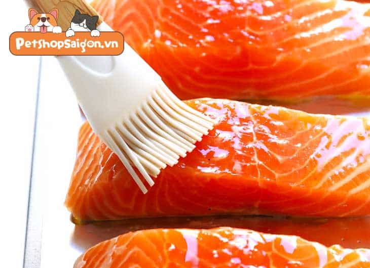 Mèo có ăn được cá hồi không?