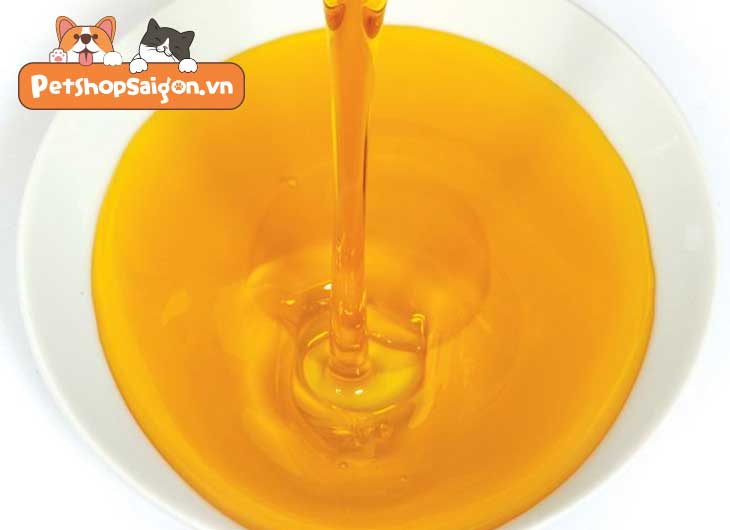 Mèo có ăn được cá hồi không?