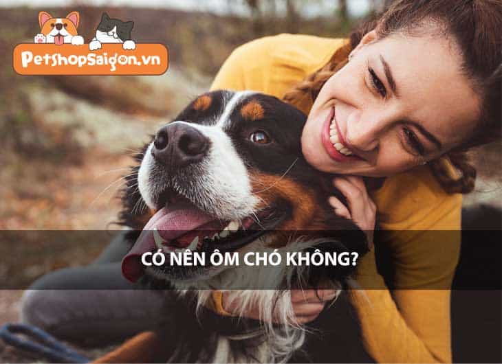 Có nên ôm chó không?