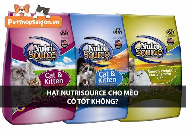 Hạt Nutrisource cho mèo có tốt không?