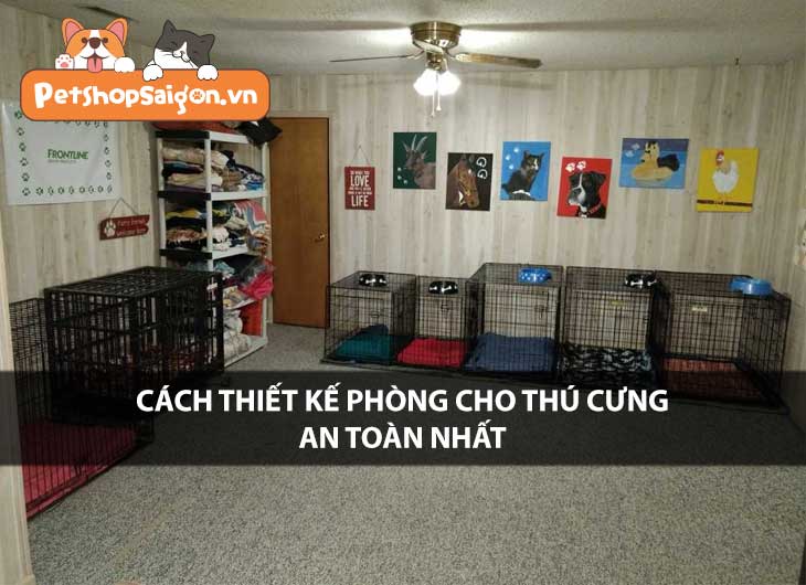 Cách thiết kế phòng cho thú cưng an toàn nhất