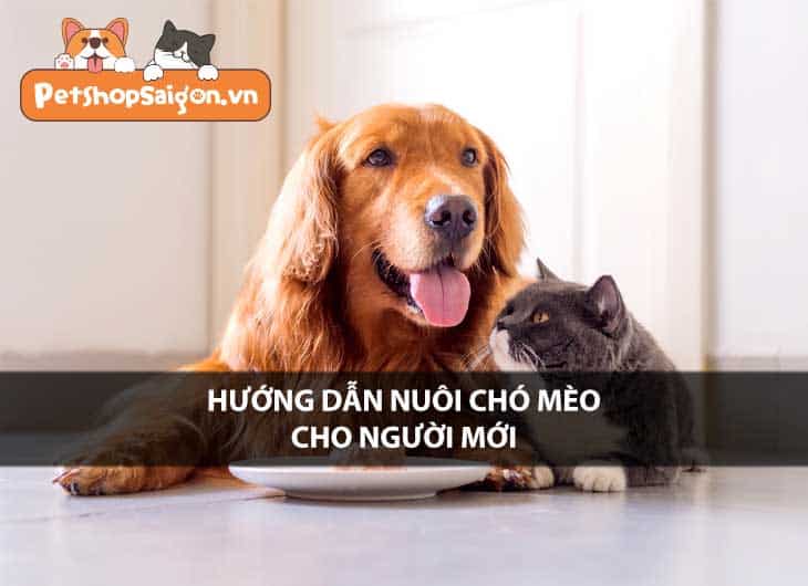 Hướng dẫn nuôi chó mèo cho người mới